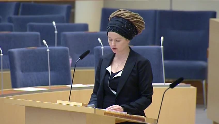 Stillbild från Interpellationsdebatt, Fri entré på statliga museer