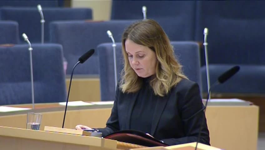 Stillbild från Interpellationsdebatt, Resultatstyrning av strukturfonderna