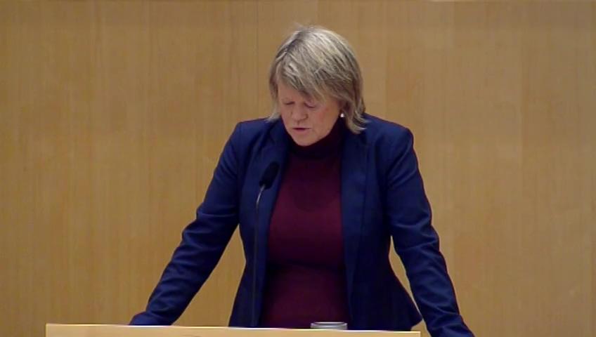 Stillbild från Debatt om förslag, Redovisning av AP-fondernas verksamhet t.o.m. 2017