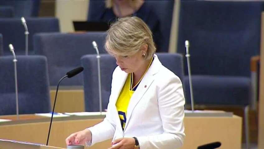 Stillbild från Interpellationsdebatt, Systembolaget och småskaliga producenter