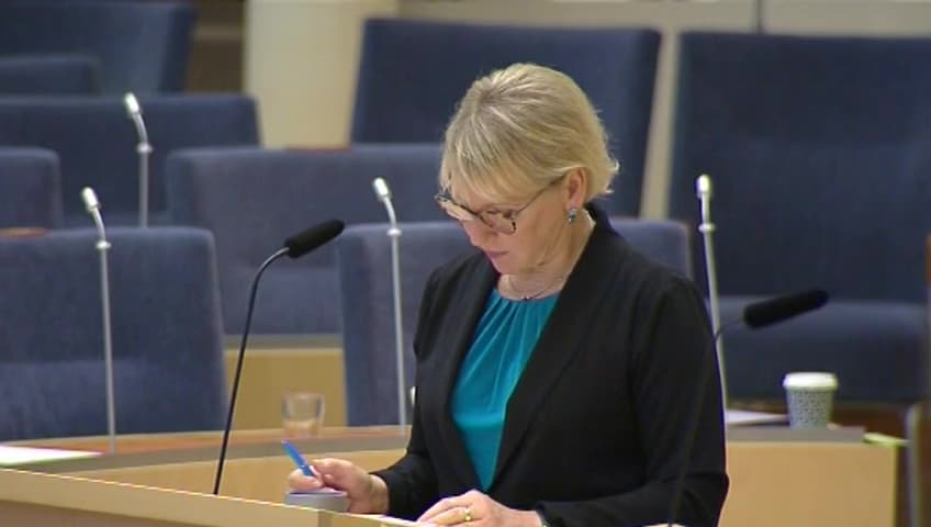 Stillbild från Interpellationsdebatt, Sveriges stöd till turkstödda rebeller