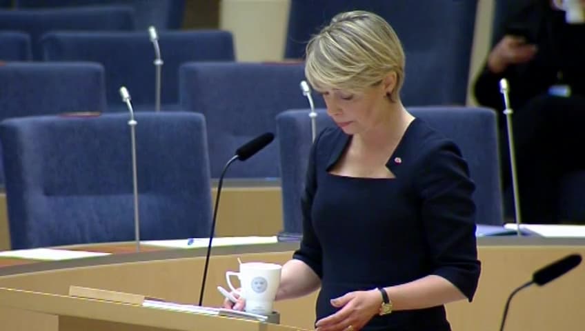 Stillbild från Interpellationsdebatt, Föräldraförsäkring för företagare