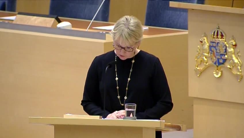 Stillbild från Interpellationsdebatt, Situationen för civilsamhällets organisationer i Turkiet