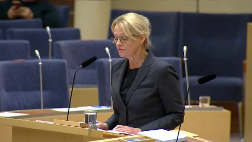 Stillbild från Interpellationsdebatt, Piratkopierade varor 