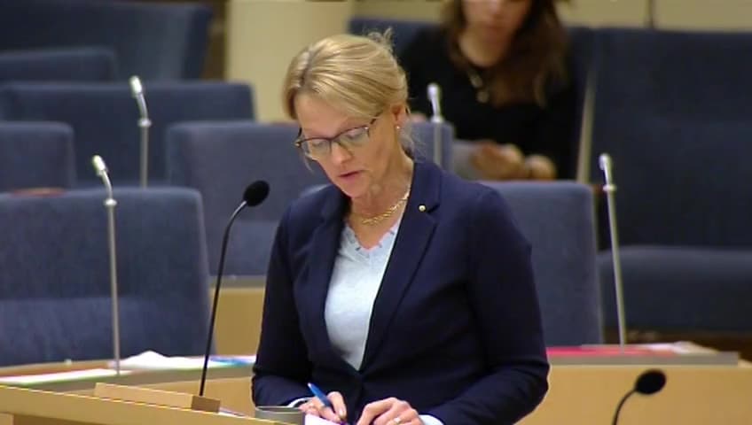 Stillbild från Interpellationsdebatt, Arbetet med återvändande