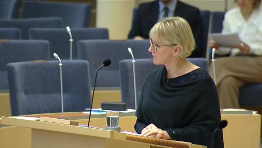 Stillbild från Interpellationsdebatt, Sveriges ansträngningar för Ali Gharavi