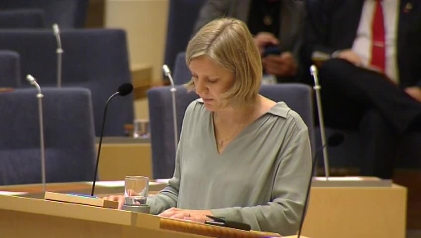 Stillbild från Interpellationsdebatt, Åtgärder för strandskydd