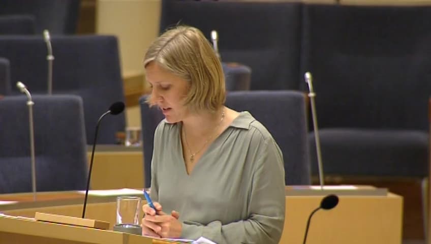 Stillbild från Interpellationsdebatt, Sandsugning i Öresund