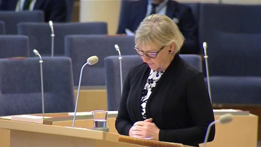 Stillbild från Interpellationsdebatt, Sveriges reaktion på Turkiets brott mot mänskliga rättigheter