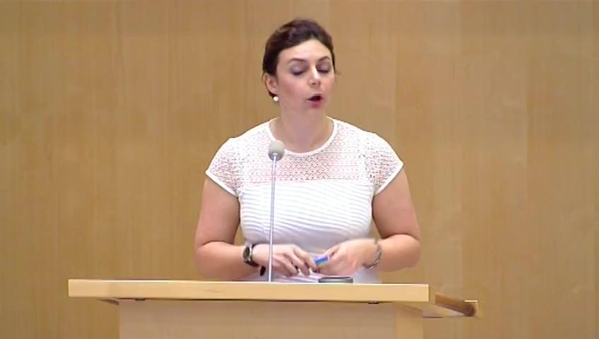 Stillbild från Debatt om förslag, Ett nytt regelverk för nyanlända invandrares etablering i arbets- och samhällslivet