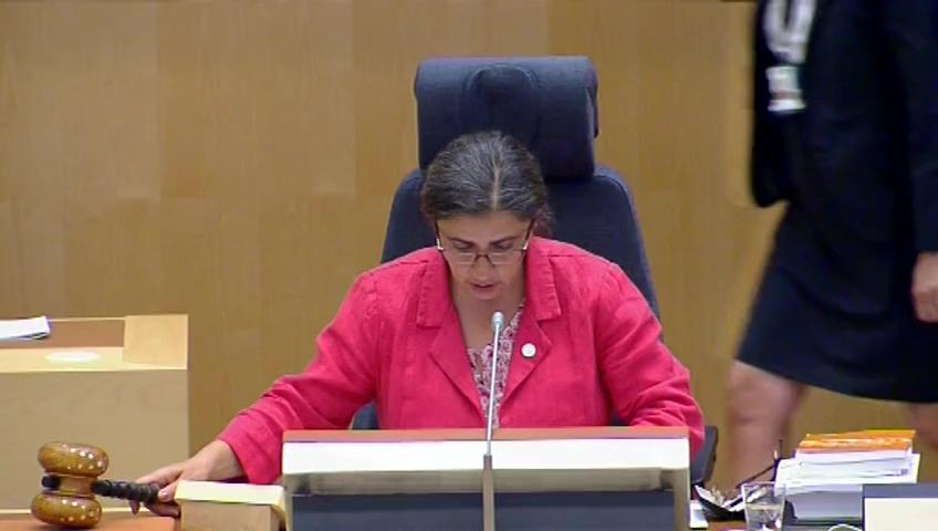 Stillbild från Debatt om förslag, En tidsbegränsad vapenamnesti 2018