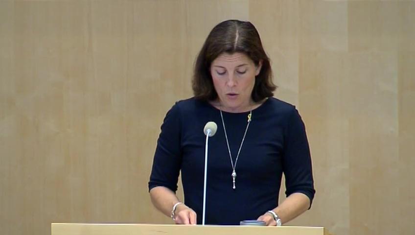 Stillbild från Debatt om förslag, Svenskt deltagande i Europeiska unionens marina operation (Atalanta)