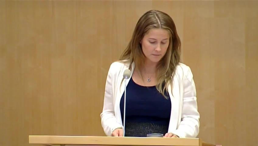 Stillbild från Debatt om förslag, En försöksverksamhet med branschskolor