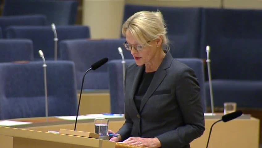 Stillbild från Interpellationsdebatt, Åldersbedömningar 