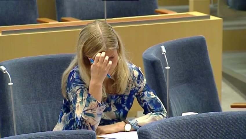 Stillbild från Interpellationsdebatt, Incitament att jobba