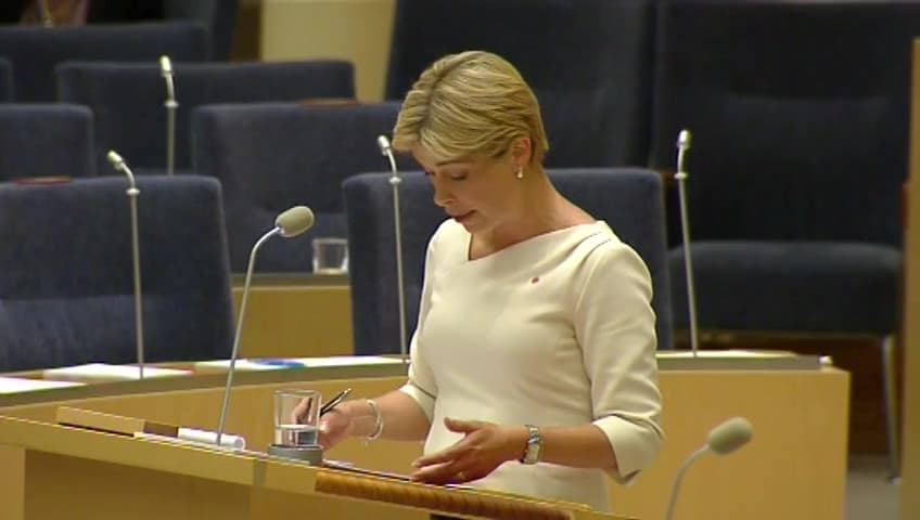 Stillbild från Interpellationsdebatt, Rehabilitering för strokepatienter