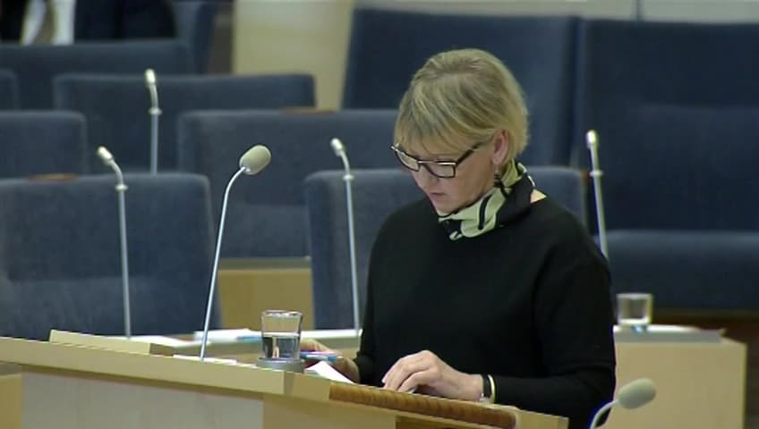 Stillbild från Interpellationsdebatt, Minoriteternas rättigheter i Irak och inom det kurdiska självstyret