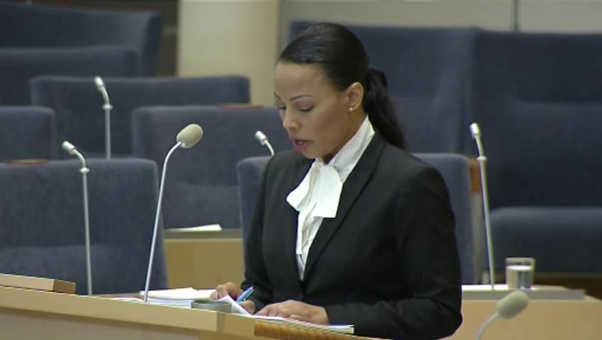 Stillbild från Interpellationsdebatt, IS-återvändare 