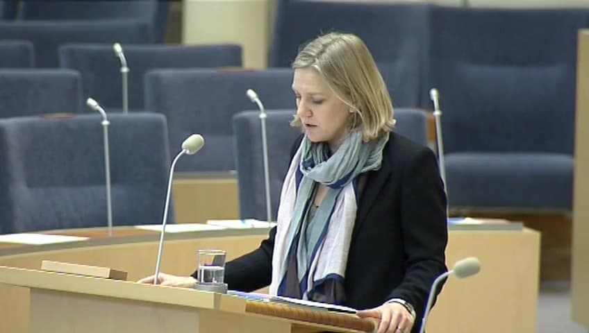 Stillbild från Interpellationsdebatt, Tillståndsprocessen för småskalig vattenkraft