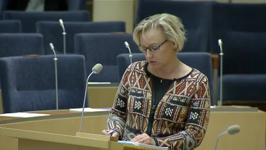 Stillbild från Interpellationsdebatt, Internationella studenter