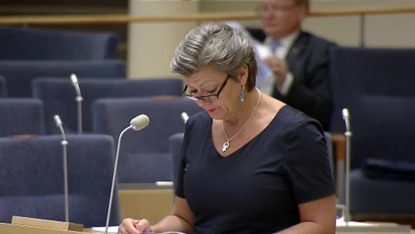 Stillbild från Interpellationsdebatt, Snabbspår för nyanlända