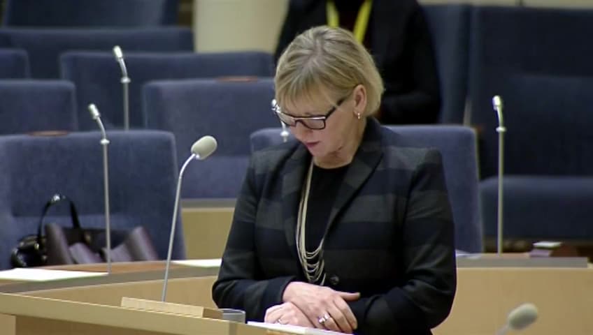 Stillbild från Interpellationsdebatt, De afghanska tolkarnas rättigheter 