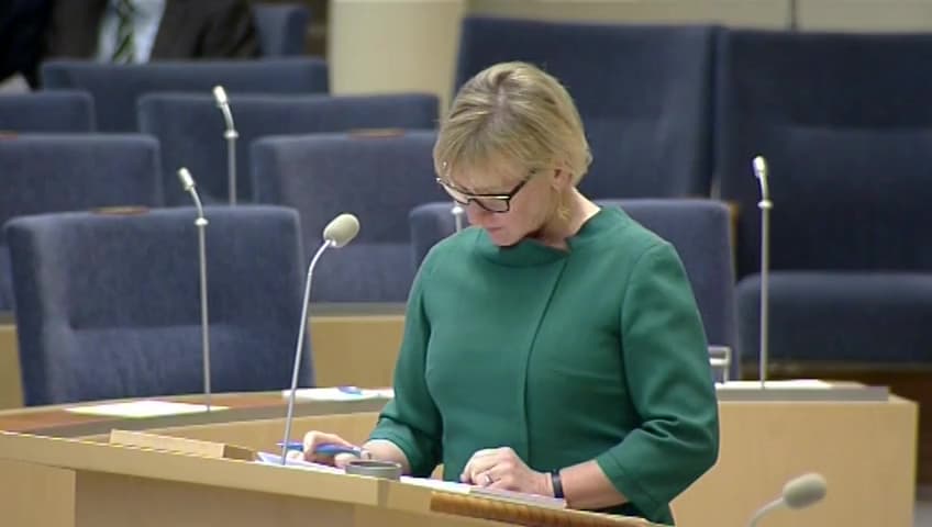 Stillbild från Interpellationsdebatt, Sveriges strukturerade politiska dialog med Iran