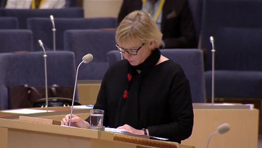 Stillbild från Interpellationsdebatt, Situationen i Turkiet