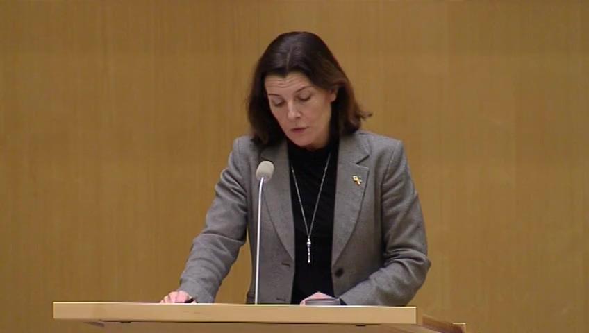 Stillbild från Debatt om förslag, Fortsatt svenskt deltagande i den militära utbildningsinsatsen i Irak