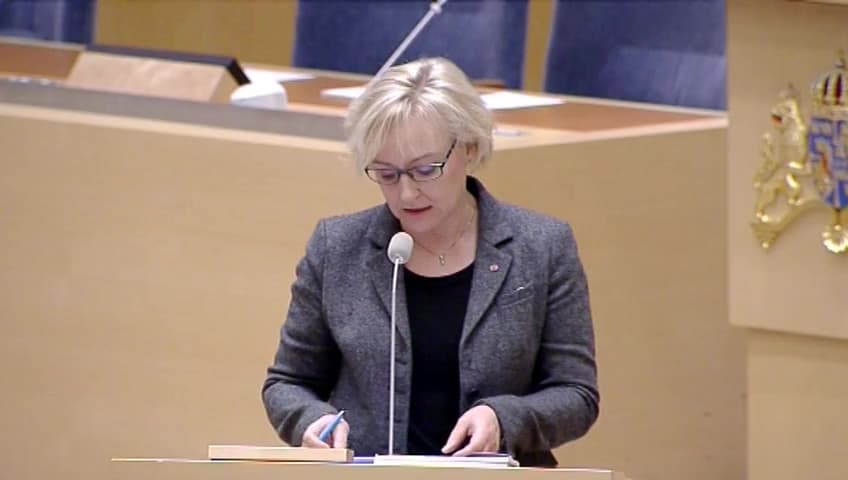 Stillbild från Interpellationsdebatt, Rymdstrategi
