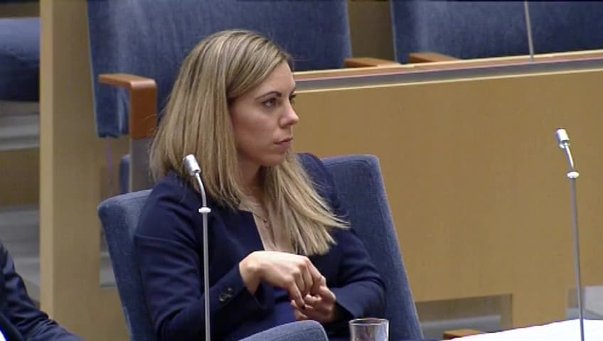 Stillbild från Interpellationsdebatt, Kvotering till bolagsstyrelser