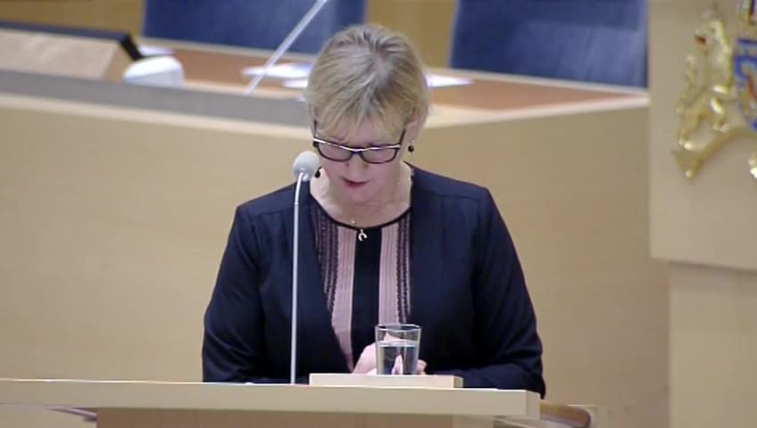 Stillbild från Interpellationsdebatt, Fredad zon för kristna i norra Irak