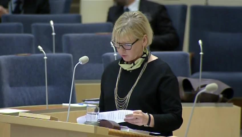 Stillbild från Interpellationsdebatt, Den svenska insatsen i Libyenkriget 2011