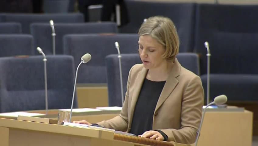 Stillbild från Interpellationsdebatt, Tillämpningen av strandskyddet