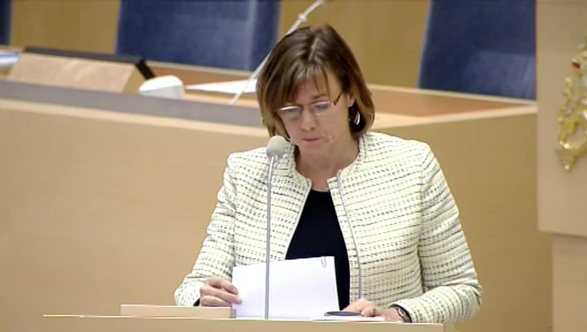 Stillbild från Interpellationsdebatt, Sveriges utvecklingssamarbete med Burkina Faso