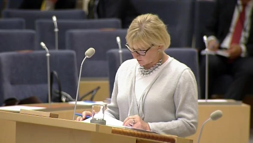 Stillbild från Interpellationsdebatt, Den politiska situationen i Vitryssland