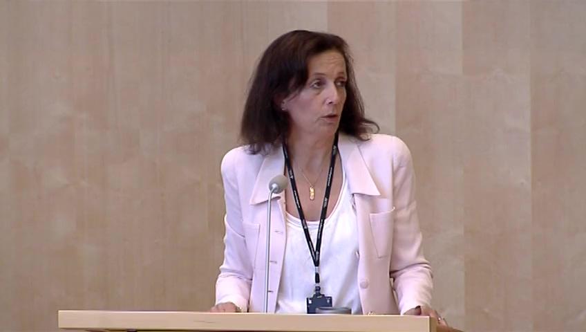 Stillbild från Debatt om förslag, Fjärrundervisning och entreprenad - nya möjligheter för undervisning och studiehandledning på modersmål