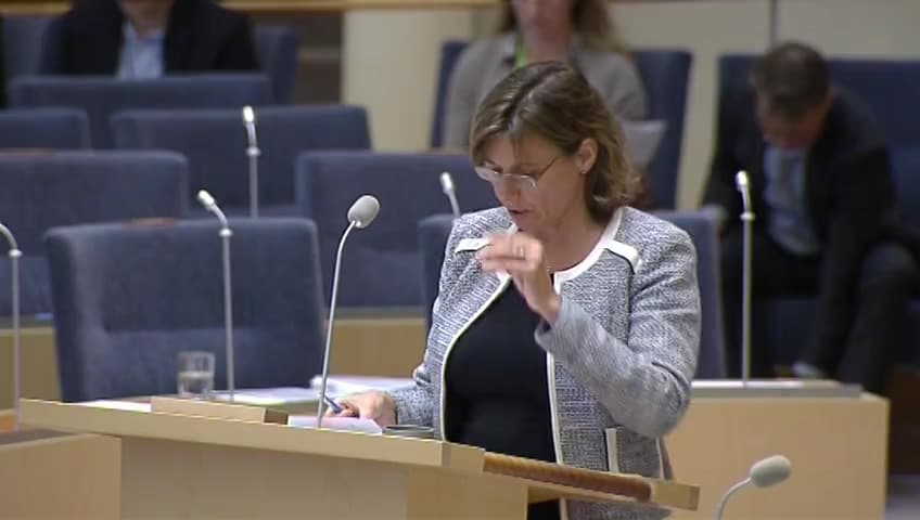 Stillbild från Interpellationsdebatt, Det privata näringslivets roll i svensk utvecklingspolitik