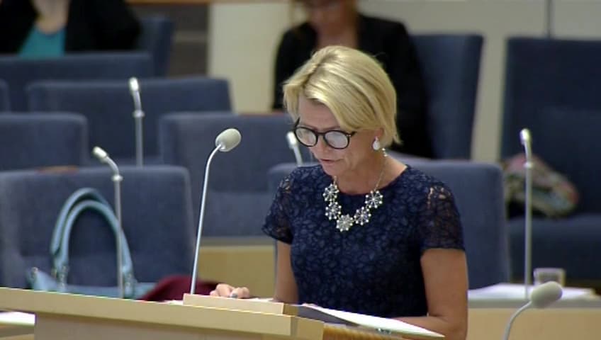 Stillbild från Interpellationsdebatt, Utsatta EU-medborgare