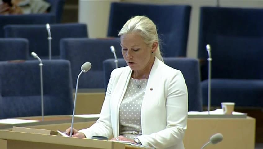 Stillbild från Interpellationsdebatt, Transportinfrastrukturen i Norrland