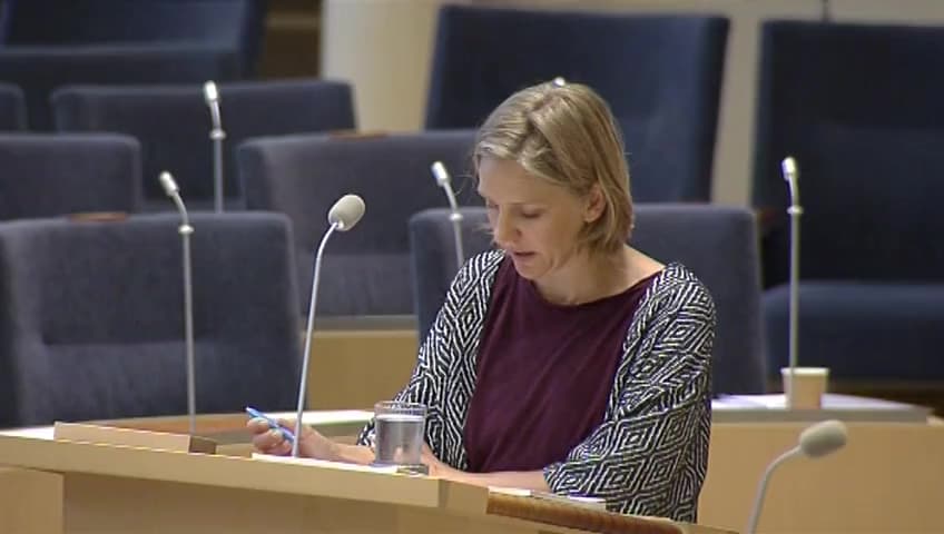 Stillbild från Interpellationsdebatt, Tillståndsgivning för småskalig vattenkraft