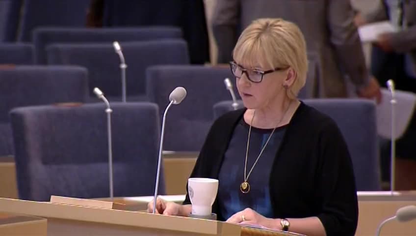 Stillbild från Interpellationsdebatt, UD-rapporter om mänskliga rättigheter