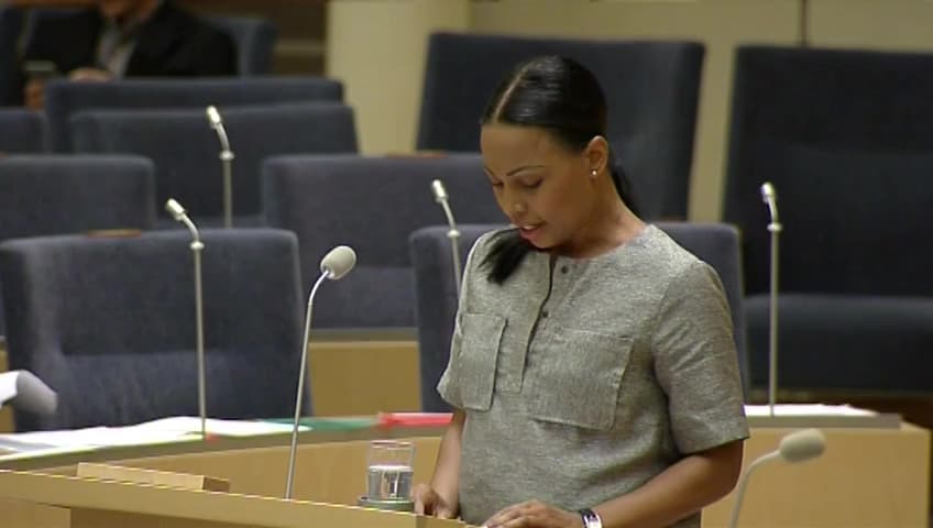 Stillbild från Interpellationsdebatt, Statsbidrag till civilsamhällesorganisationer