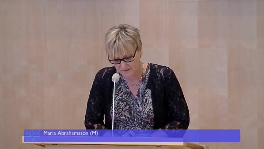 Stillbild från Debatt om förslag, Offentlighet och sekretess för uppgifter i domstolsavgöranden