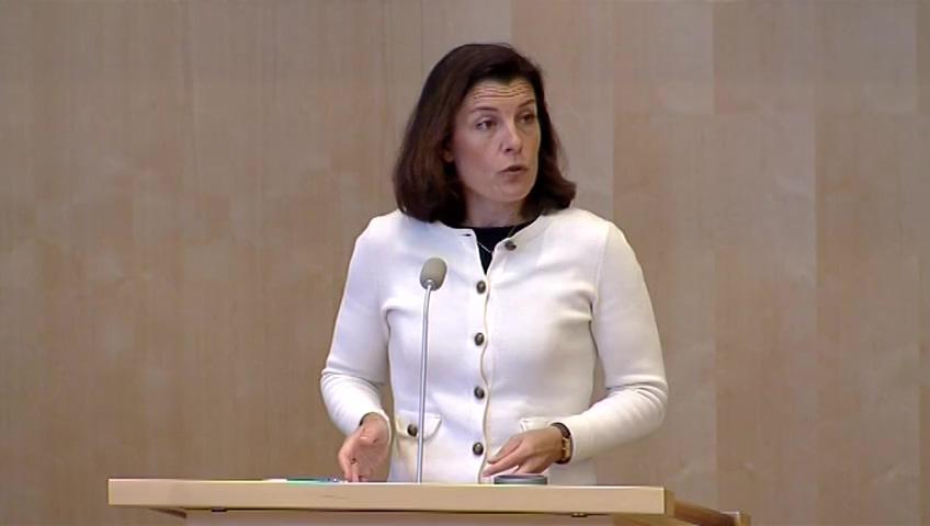 Stillbild från Debatt om förslag, Mellanöstern och Nordafrika