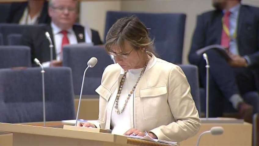 Stillbild från Interpellationsdebatt, Minoriteternas överlevnad i Irak