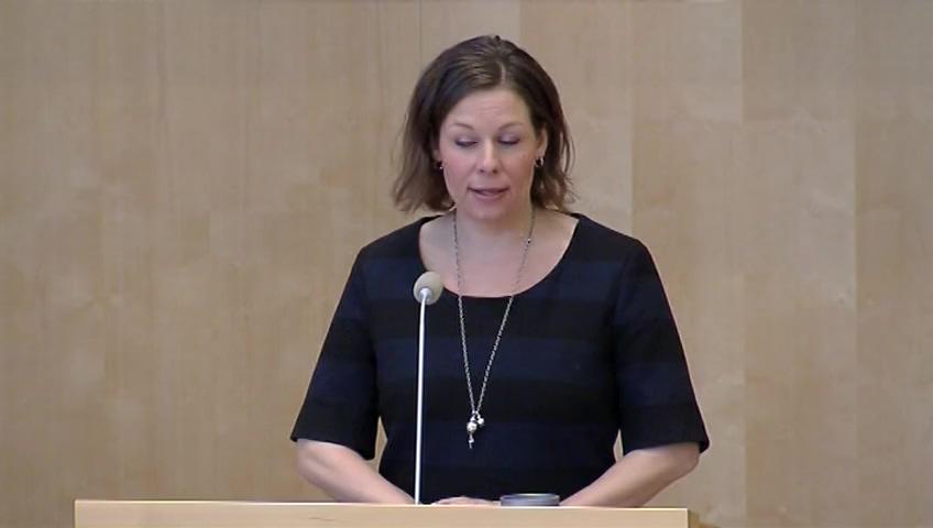 Stillbild från Debatt om förslag, Interimistiska beslut vid överprövning av upphandlingar