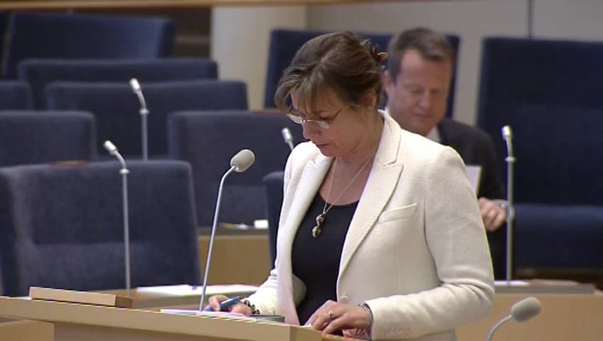 Stillbild från Interpellationsdebatt, FN-ambassadörernas besök