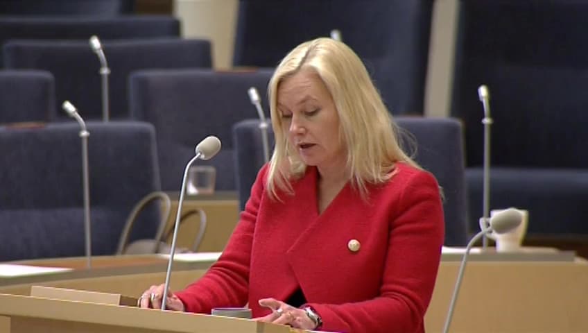 Stillbild från Interpellationsdebatt, Alkobommar vid de svenska hamnarna