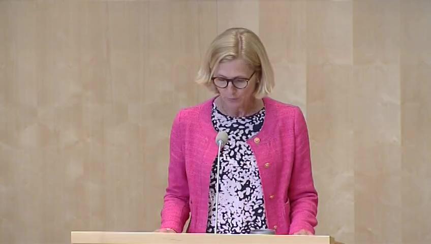 Stillbild från Debatt om förslag, Kultur för alla